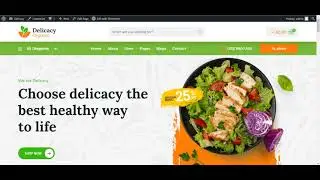 Delicacy - WordPress Theme Installation & Setup