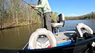Lake of Egypt, Marion Illinois
