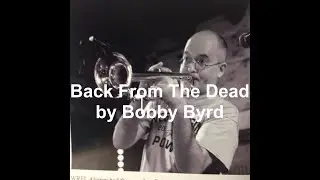 Live Looping & Trumpet Improv on 'Back From The Dead' by Bobby Byrd