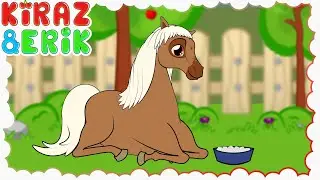 🐴 AT ŞARKISI - DIGIDIK ATIM DIGIDIK 🐎 [ YENİ ] Eğlenceli Çocuk ve Bebek Şarkıları | Kiraz ve Erik
