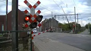Spoorwegovergang Lier (B) // Railroad crossing // Passage à niveau
