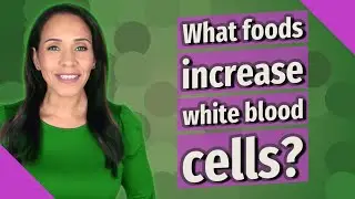What foods increase white blood cells?