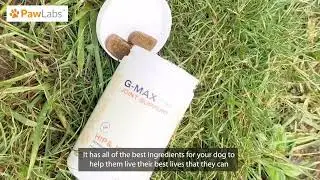 PawLabs&trade; - G-Max Joint Support for Dogs