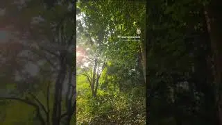 River Touch Farmhouse plot for sale in Usgao Goa.