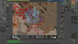 Tibia / Upper Roshamuul (revisited) / Royal Paladin / 11kk Exp @100% / Level 1500+