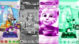 My Talking Tom in Real life [ part 23 ] - Real cat compilation 🤣🤣😂