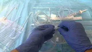 Vygon- Exchange Transfusion Tray Set Up