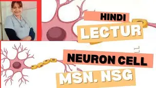 Neuron Explained | Structure, Function & Types |Nervous System Lecture for Nursing & Medical Student