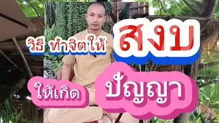 วิธีทำ จิตให้สงบ ให้เกิดปัญญา ให้เห็นโทษกิเลส ตัณหา เพื่อละสังโยชน์ โดยท่าน อาจารย์ เบียร์