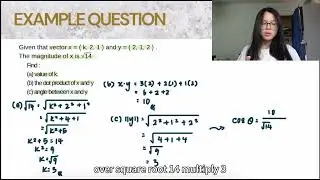 Group assignment STIQK1013(B) Angle between vector 