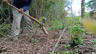Trabalho duro