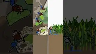 Humans aren&rsquo;t the only farming animals!