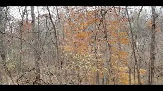 jAM (original song)