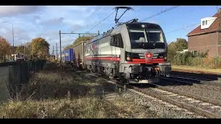 Intermodal/ Container Freight Train SBB Cargo International at Blerick the Netherlands 🇳🇱 11.11.2025
