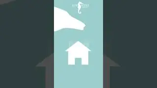 2021 Real Estate Market Conditions