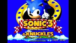 Sonic 3 - The REAL Drowning Theme