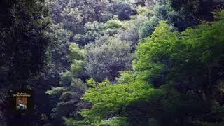 ベートーヴェン：交響曲 第3番 変ホ長調 作品55《英雄》岩城 宏之 1968