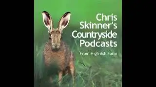 Episode 2.37 - Sulphur Glows and Swallow Farewells