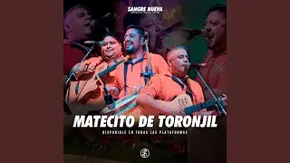 Matecito de Toronjil