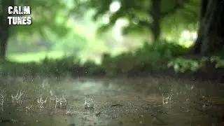 Soothing Rain & Thunder Sound, Ambient Noise For Sleep & Meditation - Calm Tunes