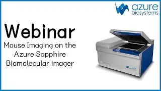Webinar Sapphire Mouse Imaging 2020 Video 3.0