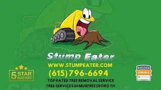 Professional Tree Removal, Trimming, and Stump Grinding in Murfreesboro | Stump Eater Tree Service