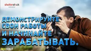 обзор сервиса shutterstock для авторов фото и видео | как заработать деньги на фотографиях и видео