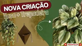 Do Vaso à Trepadeira: Técnica Exclusiva de baixo custo! 