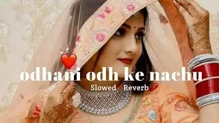 🎧 Odhani Odh Ke Nachun – Tere Naam (Lofi x 3D Beats)💛Udit × Alka✨Headphones on 🎧 Feel the romance 💃