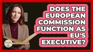 Does The European Commission Function As EU's Executive?