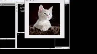 Deep learning for beginners : Image classification (machine learning)