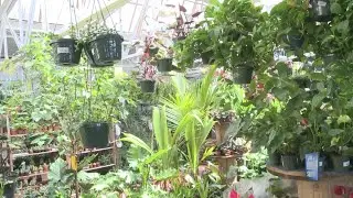Jordan's Jungle