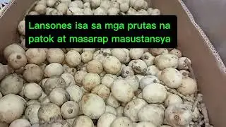 Lansones masarap masustansya #kumikitangkabuhayan #atpalengke #healthyfruits #healthylifestyle 