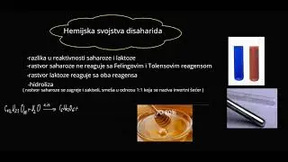 Disaharidi.Polisaharidi