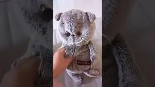 КОТ ДУШНИЛА - (1 серия)#мем #юмор #смешно #приколы #2024