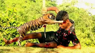 Tiger Attack Man In The Forest| Tiger Attack In Jungle | new tiger attacks video 2023