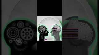 Neuro linguistic programming techniques adapted from the book ark psychology secrets byEmiliestanton