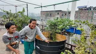 ফেদার কক পড়ে গেছে 😂 ডাস্টবিনে