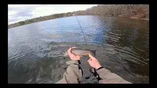 Spring Trout Fishing Cape Cod