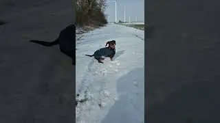 Ruby the Wackler, Winterday