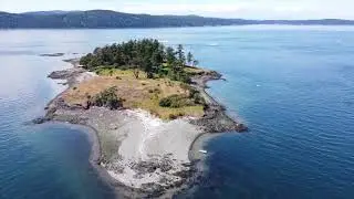 Yellow Island