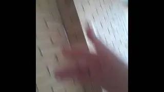 Red BACK Spider web Stronger than steel ?