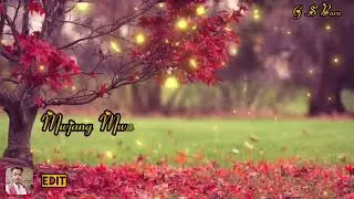 Nwngswr Manw Bujithara WhatsApp status plz subscribe my channel 🙏😘