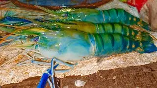 Big Green Prawns Cleaning By ExpertFish Cutter | Fish Cutting In Bangladesh