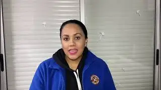 Bienvenido a nuestra canal de YouTube Madera Soluciones PP