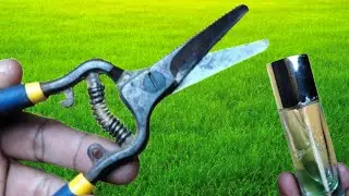 Special Way To Sharpen Pruning Shears As Sharp As A Razor At Home