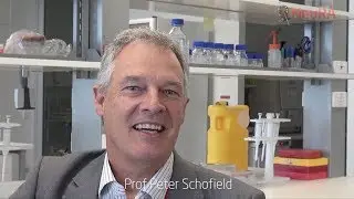 Prof Peter Schofield talks about the work at the Sydney Brain Bank