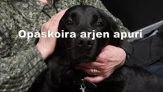 Opaskoira arjen apuri