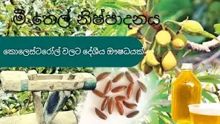 Village Natural oil Make | අතීතයේ මී තෙල් නිෂ්පාදනය කරේ මෙහෙමයි # ගැමි උරුමය  - Ruralheritage gami
