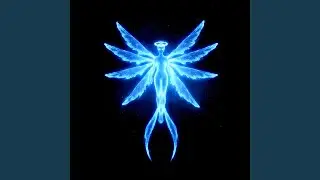 Spectral Body